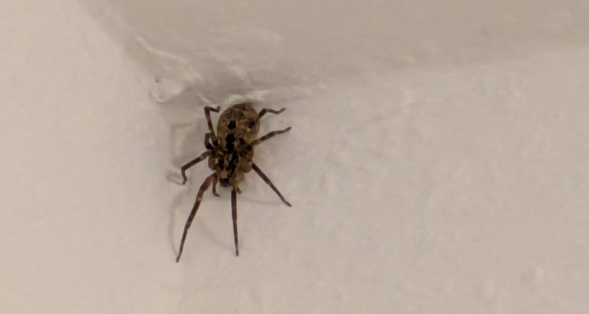 Wen haben wir den hier?