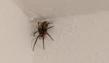 Wen haben wir den hier?