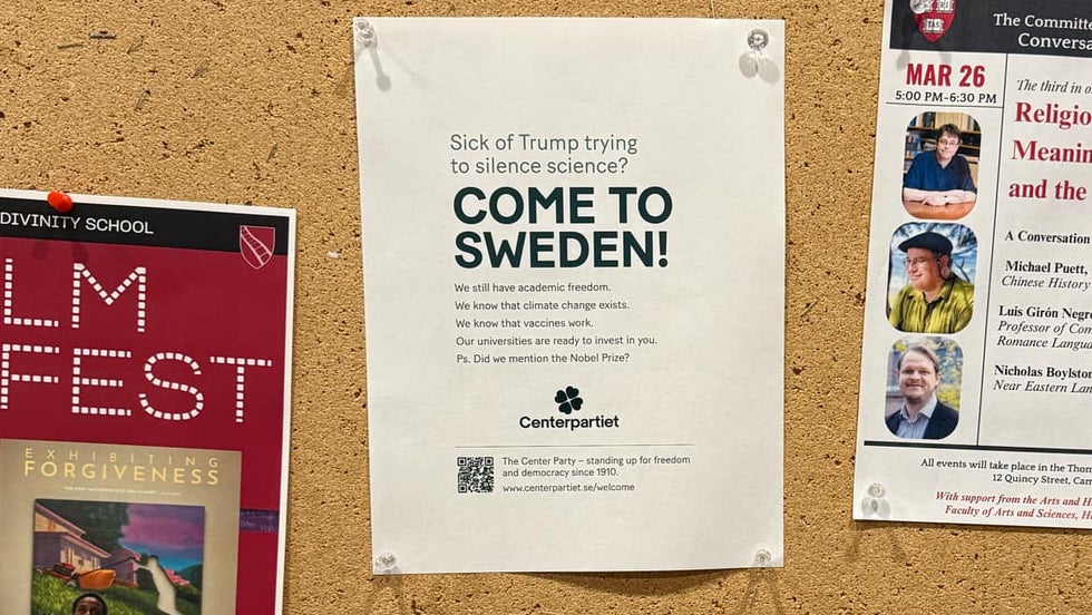 På annonstavlor på Columbiauniversitetet och Harvarduniversitetet kan forskare och studenter hitta flygblad från Centerpartiet, som uppmuntrar forskare och akademiker att komma till Sverige, skriver artikelförfattarna.