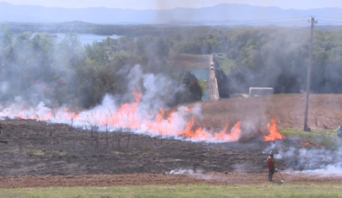 TVA’s annual controlled burn bringing new life to environment
