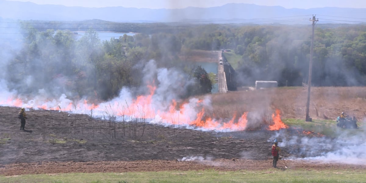 TVA’s annual controlled burn bringing new life to environment
