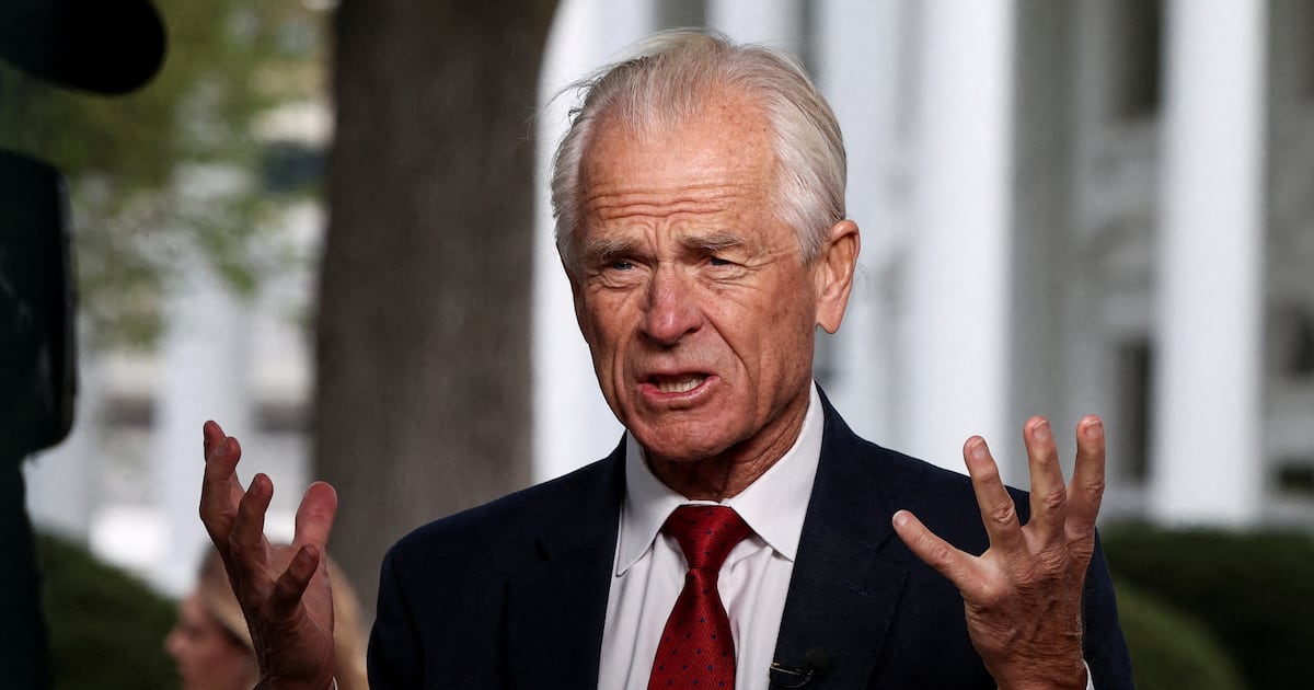 Peter Navarro Grilled Over His Attempt to Downplay Elon Musk Feud
