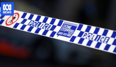 Swedish Boy, 15, charged in Sydney with organising contract killings online