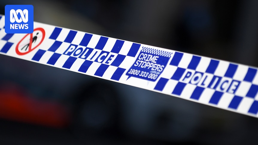 Swedish Boy, 15, charged in Sydney with organising contract killings online