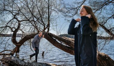 Fladdermöss skyddas i Stockholms nya naturreservat