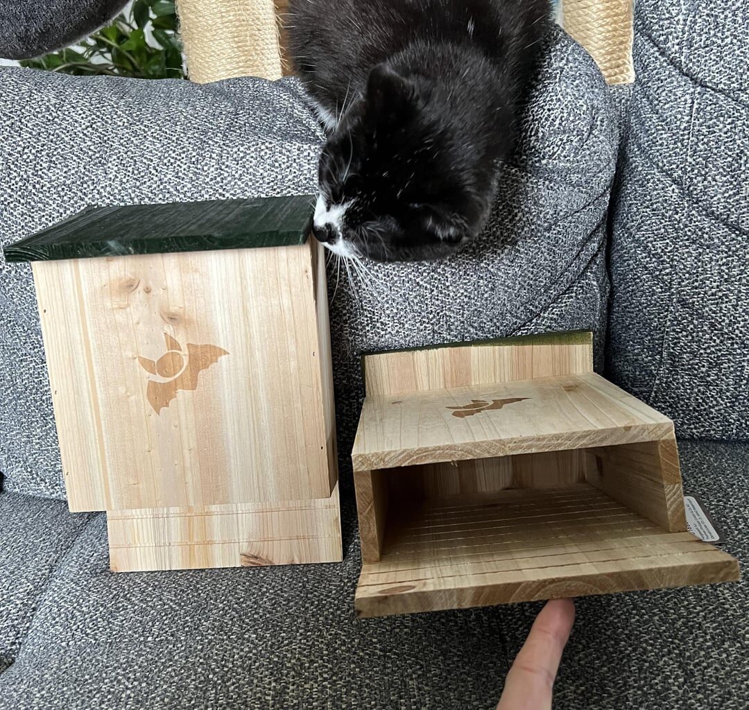 Hallo, habt ihr Tipps für Fledermauskästen? (mehr Info im Beitragstext)