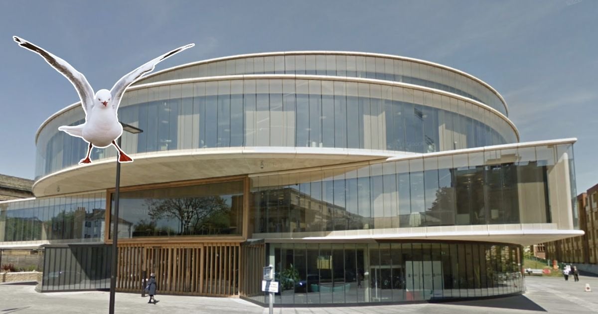 University of Oxford building evacuated after seagulls smash glass roof with stones
