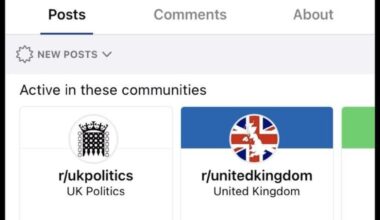 Spam accounts on the UK subreddits