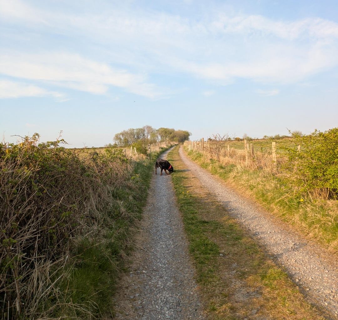 A walk in South Wales