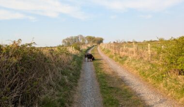 A walk in South Wales