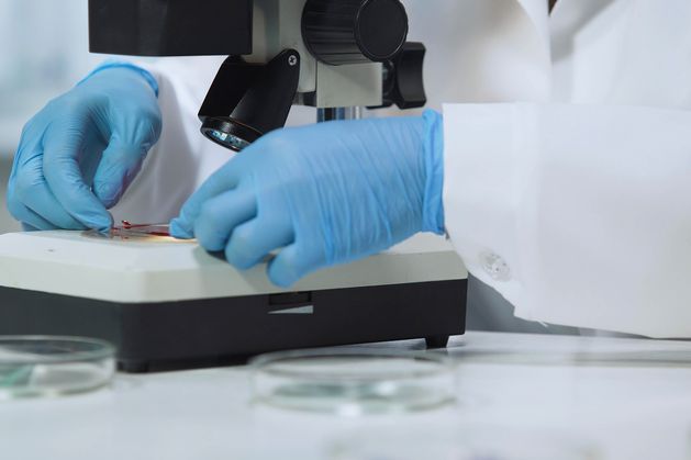 European Research Council President urges Ireland not to ‘cut’ science innovations amid US trade tariffs