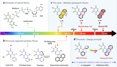 Expanding the chemical space of flavins with pentacyclic architecture