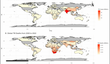 Utilizing artificial intelligence to predict and analyze socioeconomic, environmental, and healthcare factors driving tuberculosis globally