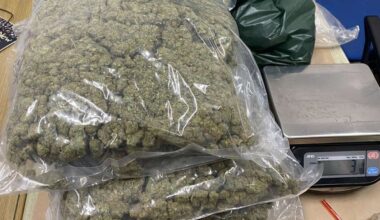 cover Over 50kg of cannabis found in stolen vehicle in Limassol