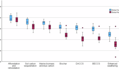 Carbon removal beyond the trees