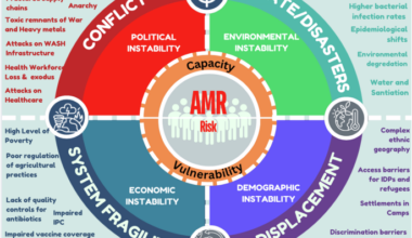 Unravelling the linkages between conflict and antimicrobial resistance
