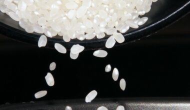 Japan taps rice reserves to fight soaring prices