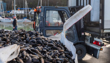 Ireland’s ‘blue economy’ making waves in jobs and growth