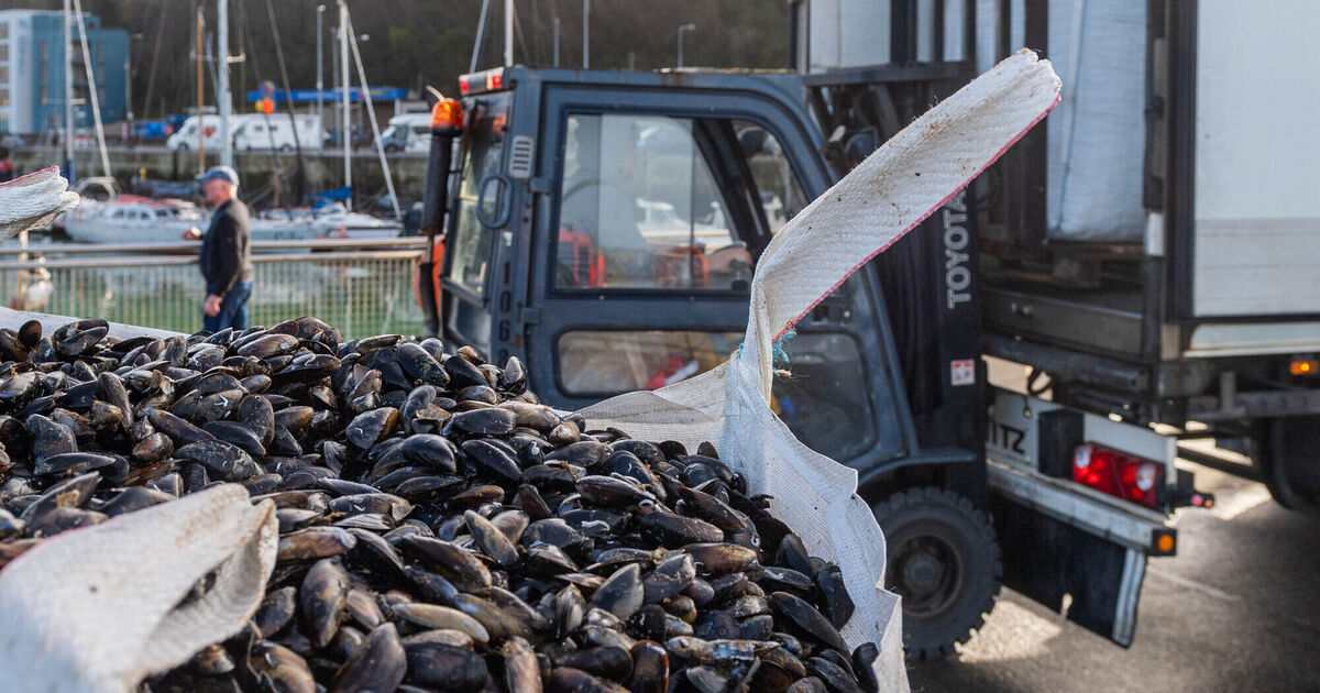 Ireland’s ‘blue economy’ making waves in jobs and growth