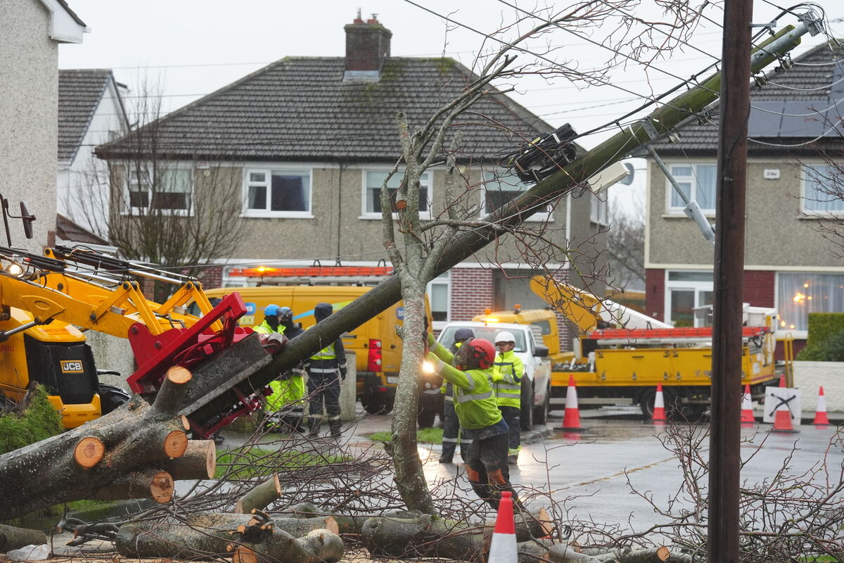 ESB Networks was just one of the organisations scrambled to restore power, internet, and water after Storm Éwoyn. Analysts are saying the storm is a wake-up call about the vulnerability of Ireland's infrastructure. Picture: Larry Cummins