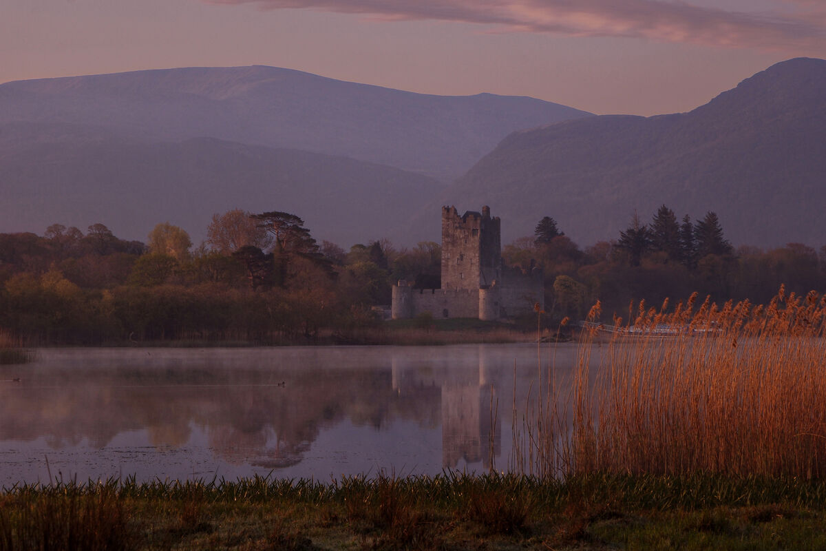 Killarney National Park expects to welcome close to 2m visitors this year. There are no official figures for 2025 so far, but a Department of Heritage spokesperson says the tourist hotspot has been ‘busy’.