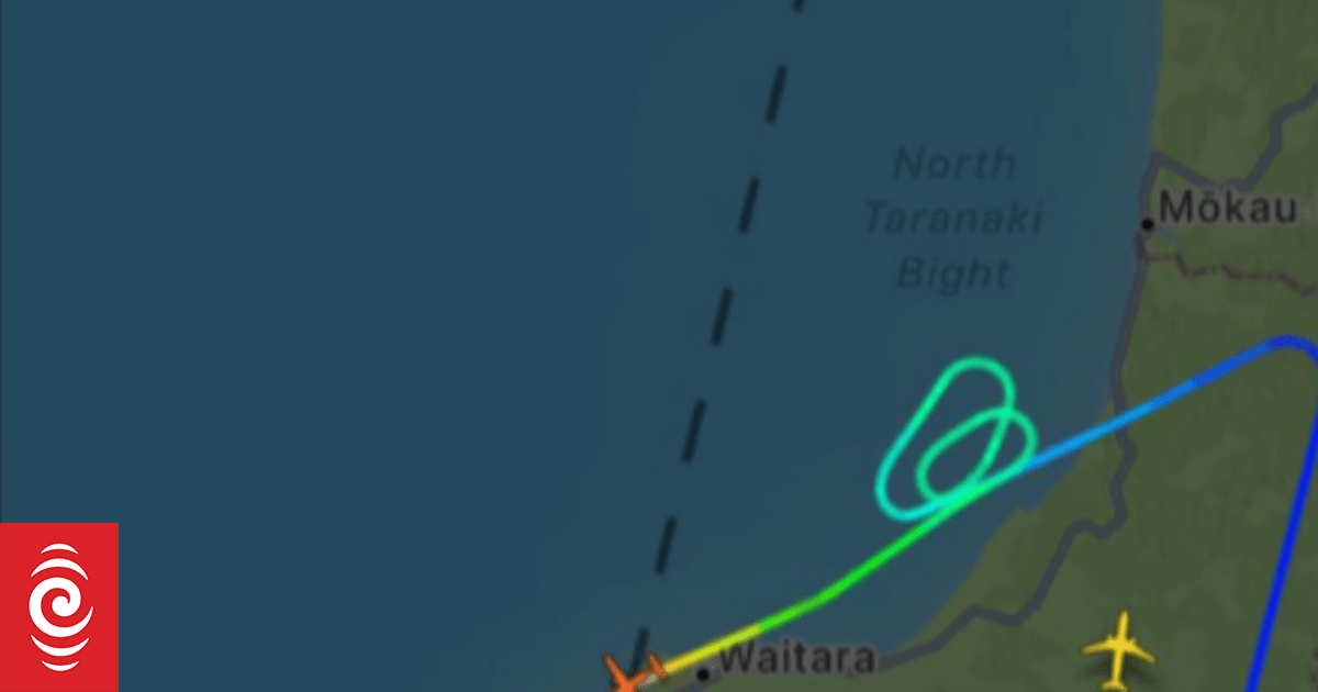 Air New Zealand flight grounded, passenger's carry-on item to blame