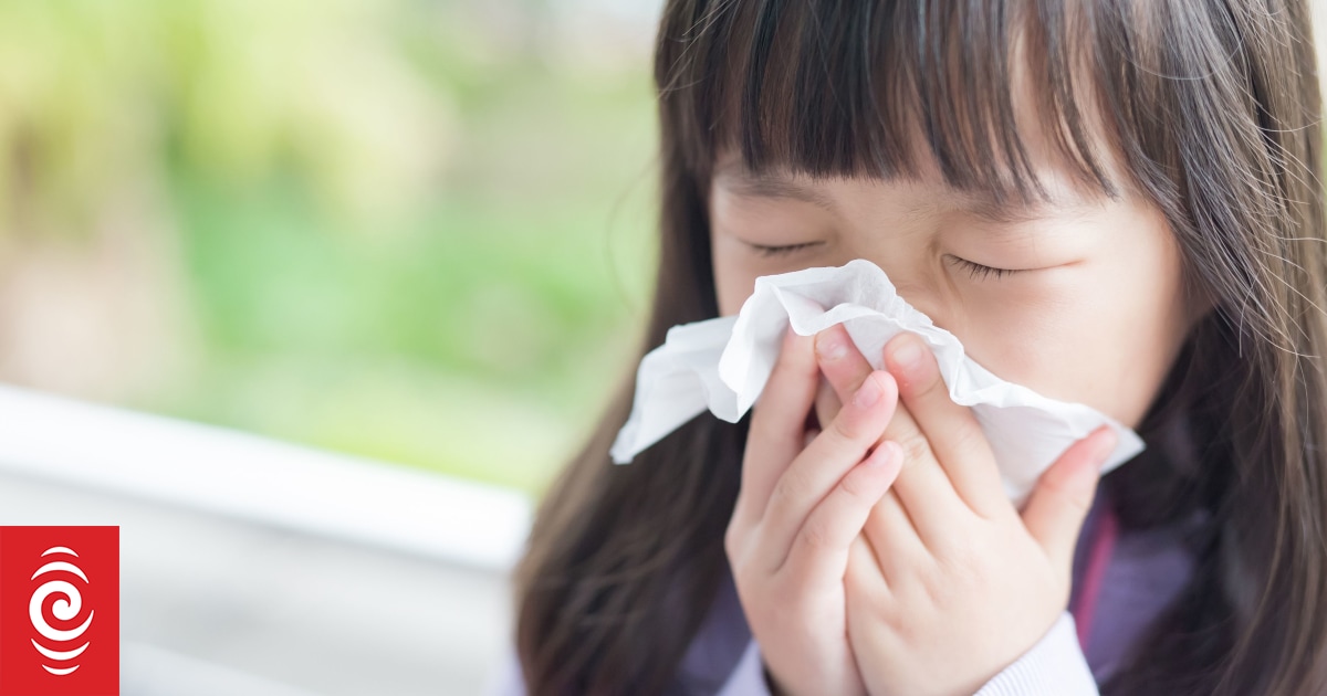 Five flu vaccines are available this year - which one should you get?