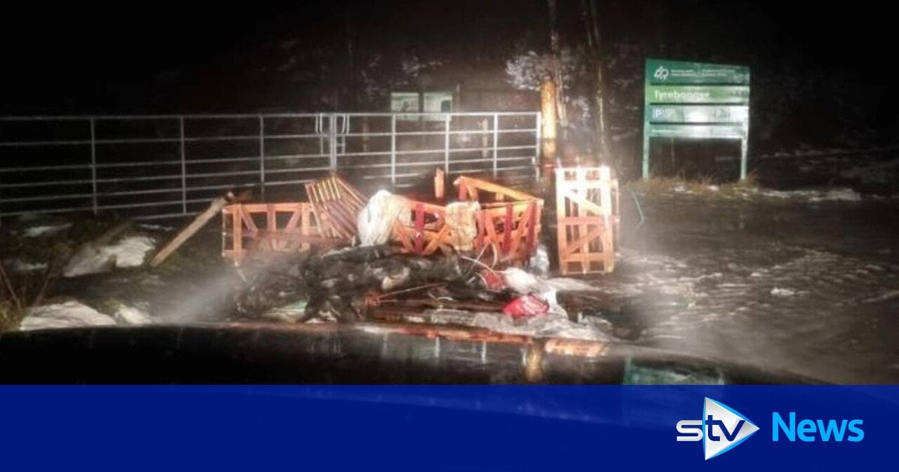 Scots beauty spots trashed by 'mindless vandals' who cut down ancient trees