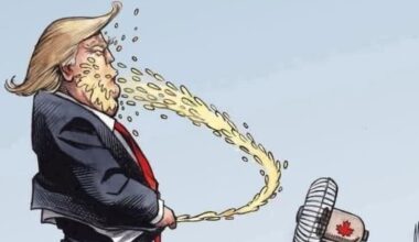 Tariffs in action