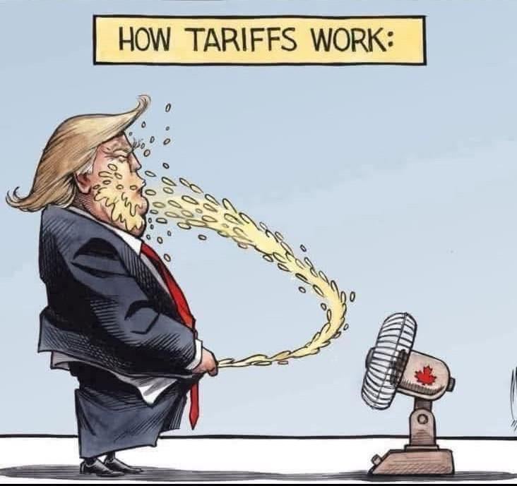 Tariffs in action