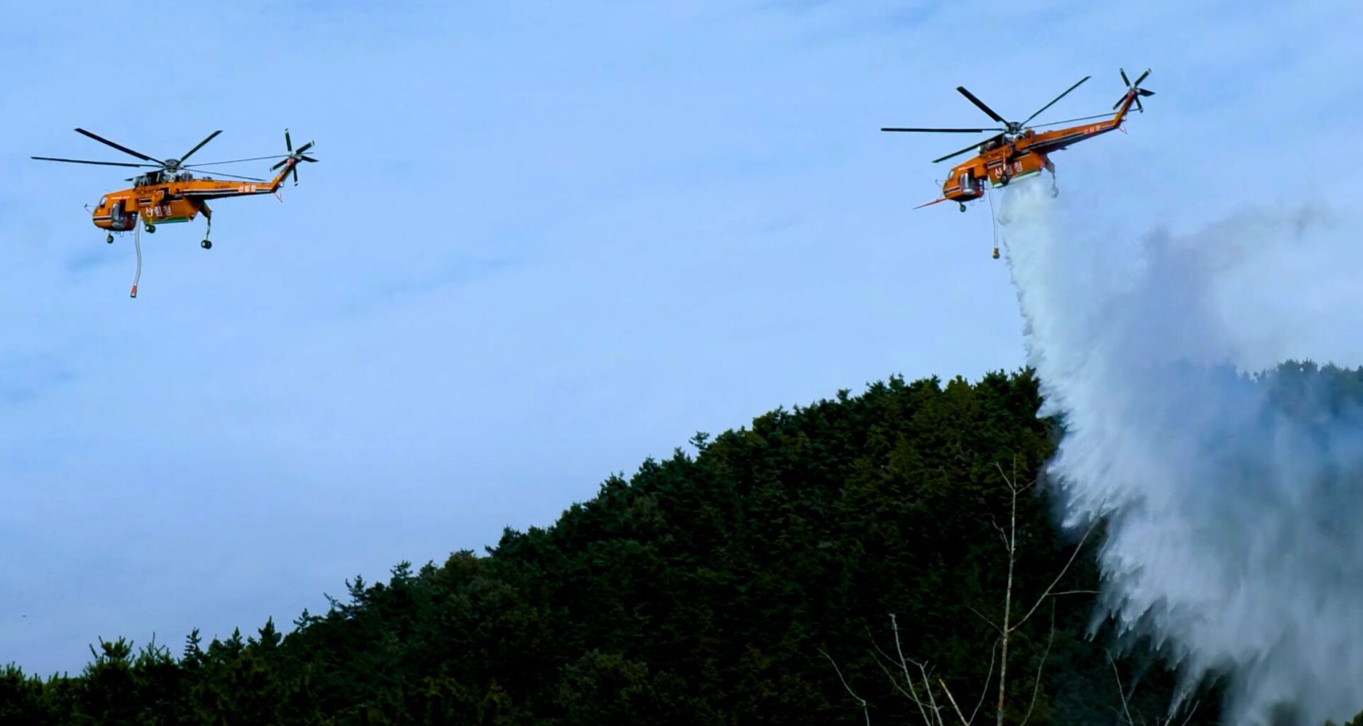 Wildfire erupts in DMZ amid heightened North Korean troop activity near border