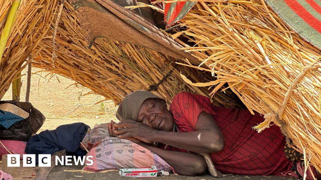 People eating charcoal and leaves to survive, aid agency warns