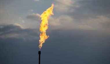 A 'mosaic' of abatement strategies needed to cut global methane emissions amid US backtrack | News | Eco-Business