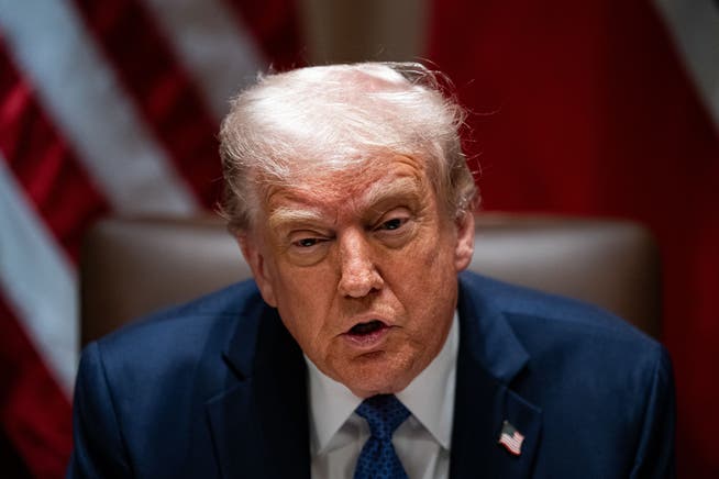 Seine Ideen sind Ausgangspunkt einer Krise: US-Präsident Donald Trump
