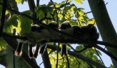Had some visitors today