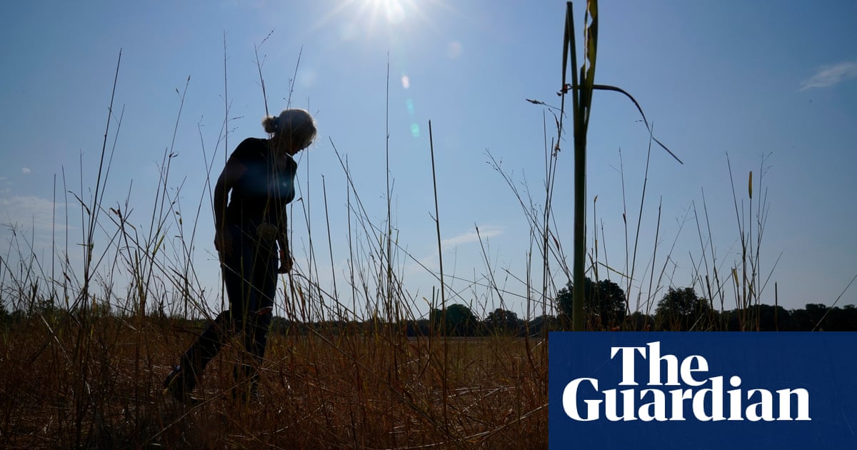 ‘Shock to the system’: farmers hit by Trump’s tariffs and cuts say they need another bailout | Trump administration