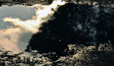 посрещаме март валежи дъжд сняг