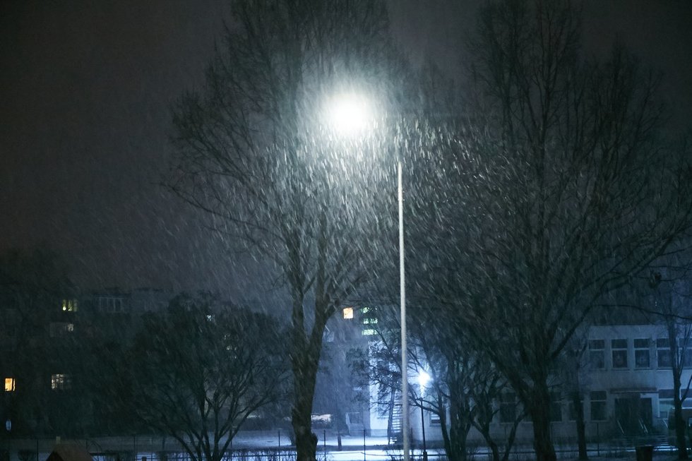 Vilniuje sninga (nuotr. Tv3.lt/Ruslano Kondratjevo)