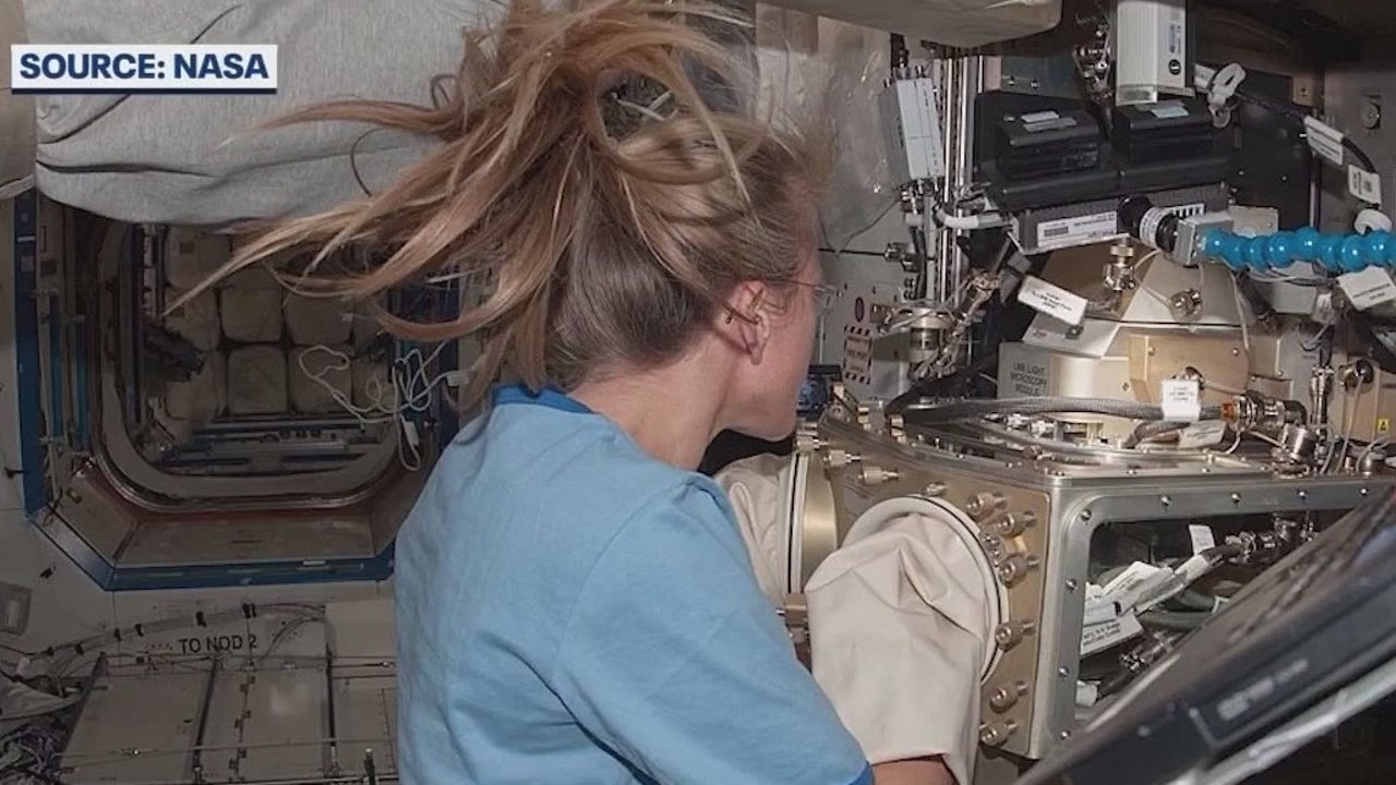 'Quick recovery': Space technology now being used to make dental implants faster, less invasive for patients