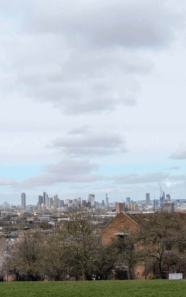 View from Telegraph Hill