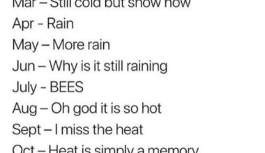 12 months of seasonal betrayal