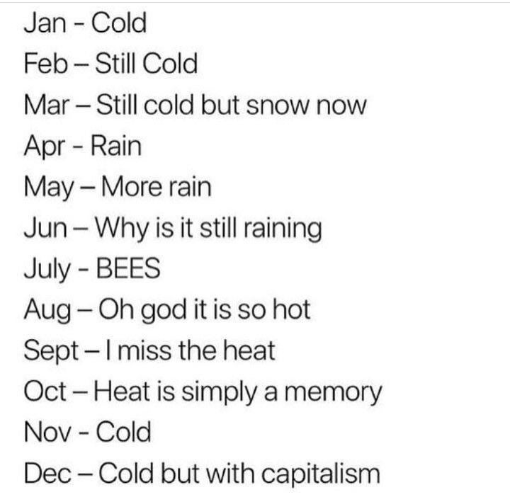 12 months of seasonal betrayal