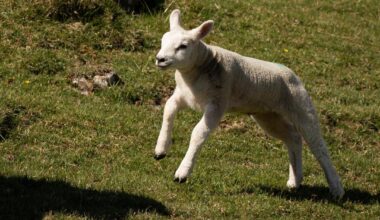 I went to Malham today!
