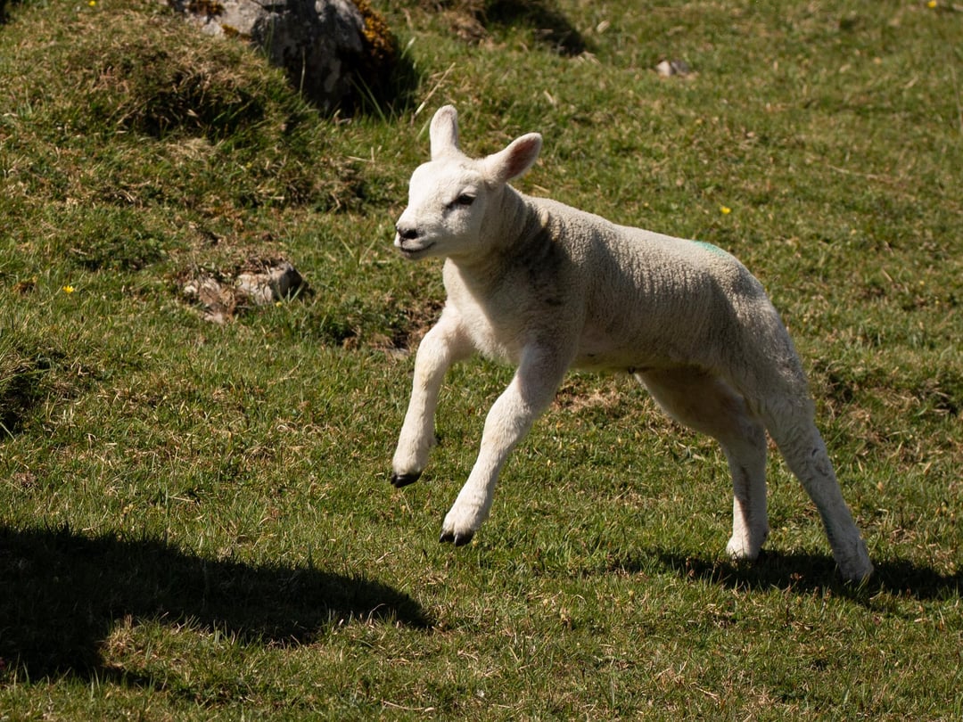 I went to Malham today!