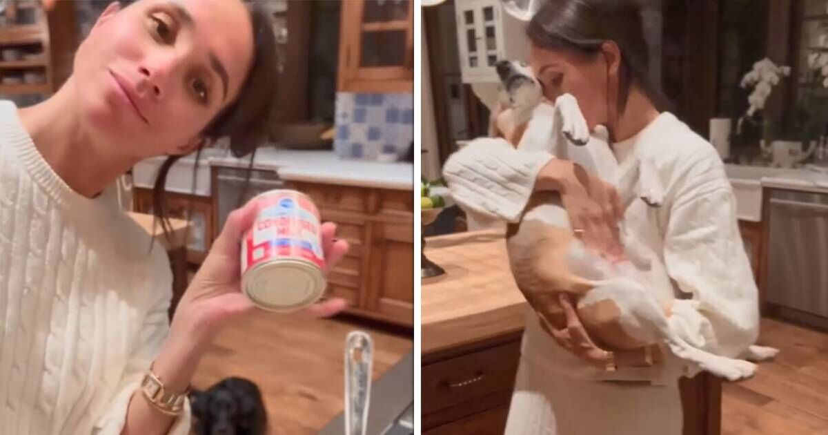 Meghan Markle shows off two family guests in new video from Montecito home | Royal | News