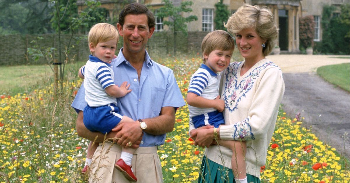 Prince Harry and William were dressed the same by Diana for 1 secret reason | Royal | News
