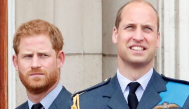 Prince Harry 'planned Ukraine trip to annoy brother' as Prince William banned from going | Royal | News
