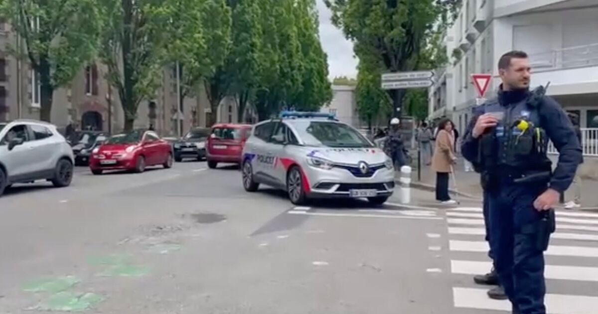 France stabbings: Nantes school knife rampage | World | News