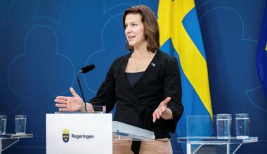 Nina Larsson blir ny jämställdhetsminister