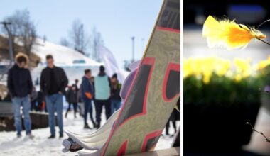 Knepen för att undvika att få stopp i påsktrafiken - Östersunds-Posten